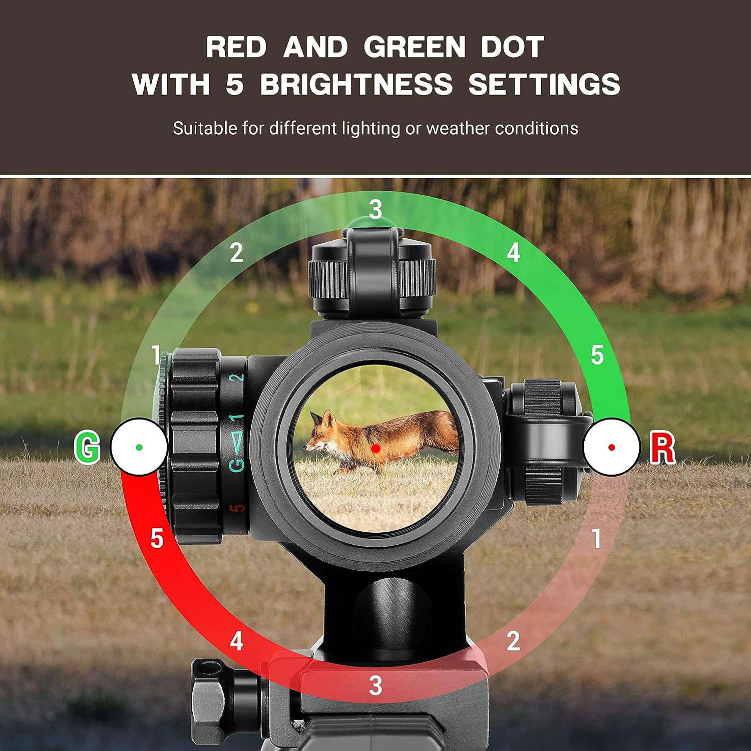 AJDGL Lunette de visée Tactique Optique 4x30mm - Point de visée Rouge/Vert  avec Support pour tir de Chasse Airsoft : : Sports et Loisirs
